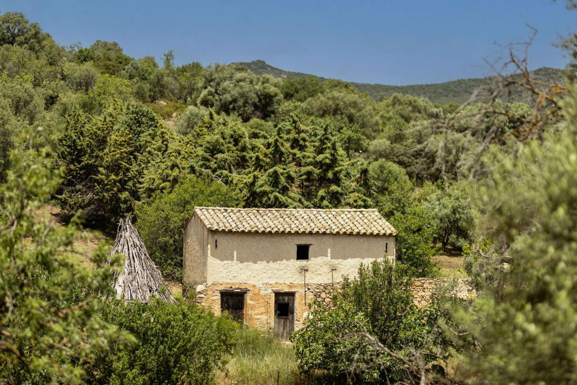 Soul Valley All-In Boutique Hotel With Yoga & Wellness Maracalagonis Экстерьер фото